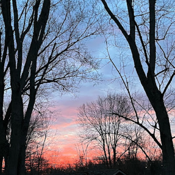 Meet your Posher, Ariana - Picture 1 of 1